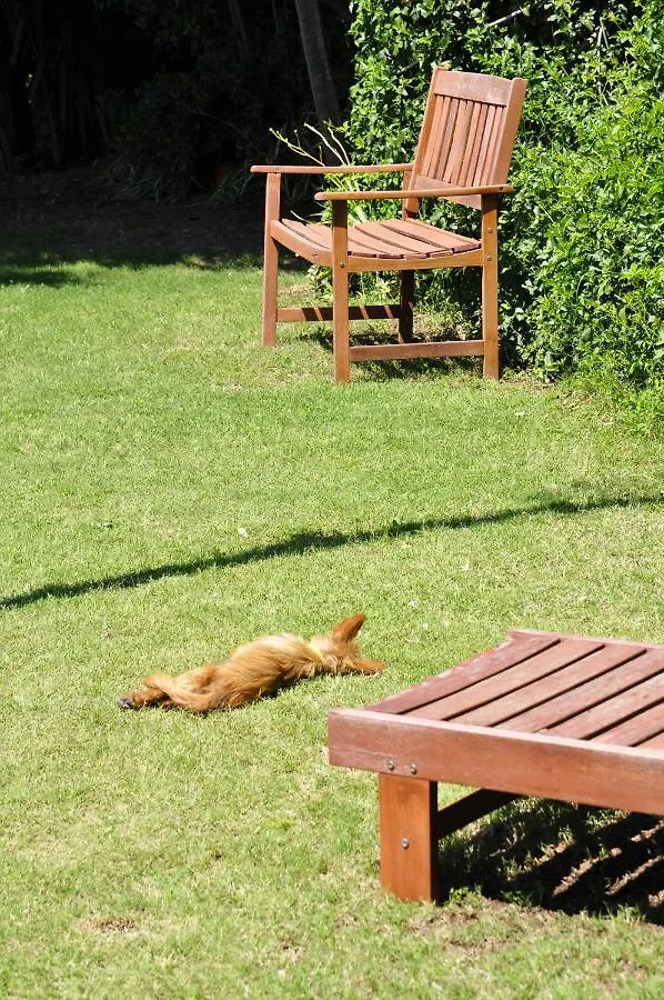 Farm stay Bed & Breakfast Agriturismo San Macario Villa Pula