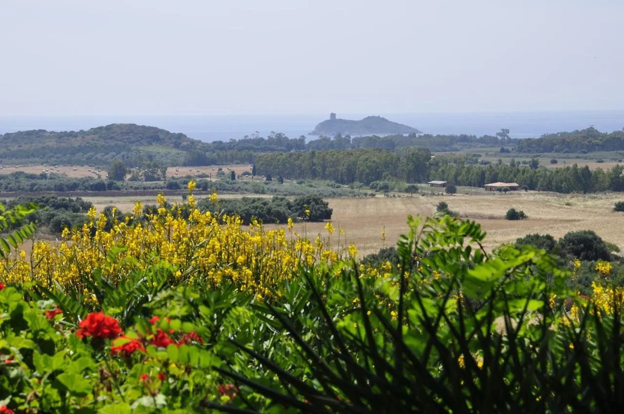Farm stay Bed & Breakfast Agriturismo San Macario Villa Pula